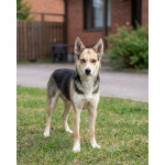 Сия - миниатюрная девочка с глазами из разных миров