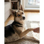 Сия - миниатюрная девочка с глазами из разных миров