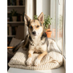 Сия - миниатюрная девочка с глазами из разных миров