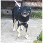 Ласкуша Алиса живет и надеется найти свою родную семью