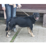 Ласкуша Алиса живет и надеется найти свою родную семью