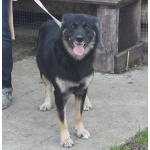 Ласкуша Алиса живет и надеется найти свою родную семью