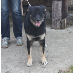 Ласкуша Алиса живет и надеется найти свою родную семью