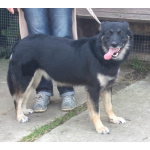 Ласкуша Алиса живет и надеется найти свою родную семью