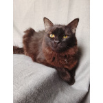 Дотти ищет дом!