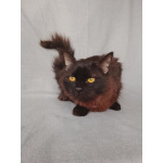 Дотти ищет дом!