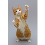 Кот Гарик ищет доброе сердце.