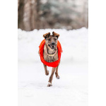 Стася ищет дом — и сердце, в котором она снова будет нужной.