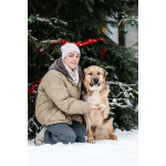 Дынечка - плюшвый мишка в добрые руки!