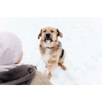 Дынечка - плюшвый мишка в добрые руки!