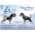 Щенки Цвергшнауцера пс из питомника.