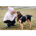 Очаровательная Молли ищет дом!