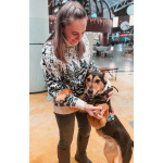 Очаровательная Молли ищет дом!