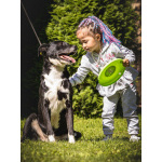 Ромео в поисках дома!