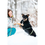 Невероятно ласковый мальчик Деймонд ищет дом!