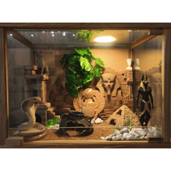 Террариум для эублефара