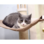 Фима- милая и немножко трусливая кошечка!