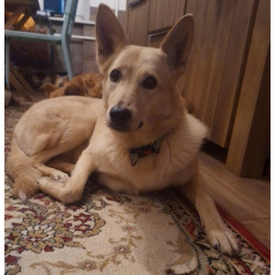 Мила, самое милое и потрясающее создание!