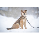 ЛаскушаНюша очень ждет своего родного ЧЕЛОВЕКА.