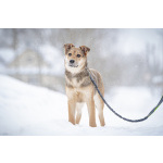 ЛаскушаНюша очень ждет своего родного ЧЕЛОВЕКА.