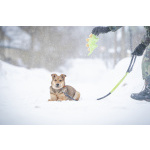 ЛаскушаНюша очень ждет своего родного ЧЕЛОВЕКА.