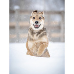 ЛаскушаНюша очень ждет своего родного ЧЕЛОВЕКА.