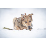 ЛаскушаНюша очень ждет своего родного ЧЕЛОВЕКА.