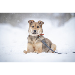 ЛаскушаНюша очень ждет своего родного ЧЕЛОВЕКА.