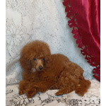 Ирина Валентиновна Рыжих