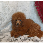 Ирина Валентиновна Рыжих