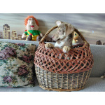 Очень красивый маленький щенок