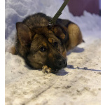 Ласковая девочка Алиса ищет своих родителей!