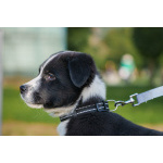 Ищу родителей! В добрые руки.