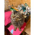 «Ищу человека, с которым можно поболтать за жизнь». На связи Сема.