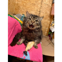 «Ищу человека, с которым можно поболтать за жизнь». На связи Сема.