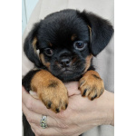 Мальчик красавчик