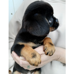 Мальчик красавчик