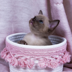 Питомник UralPharaoH