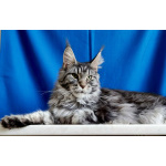 Очаровательная девочка-подросток