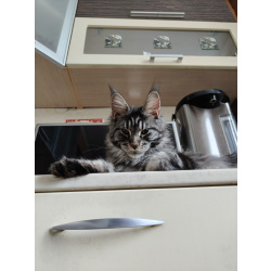 Очаровательная девочка-подросток