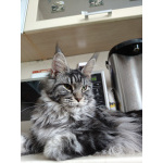 Шикарная меховая девочка