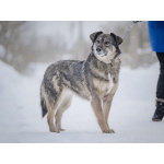 Ласковая, жизнерадостная, позитивная Златочка ждет свою семью, мечтает о доме.