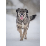 Ласковая, жизнерадостная, позитивная Златочка ждет свою семью, мечтает о доме.