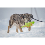 Ласковая, жизнерадостная, позитивная Златочка ждет свою семью, мечтает о доме.