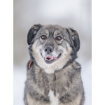 Ласковая, жизнерадостная, позитивная Златочка ждет свою семью, мечтает о доме.