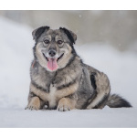 Ласковая, жизнерадостная, позитивная Златочка ждет свою семью, мечтает о доме.