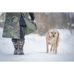 Собака улыбака Джонни ждет своего родного человека, свою семью!