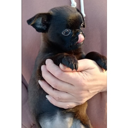 очень красивая девочка