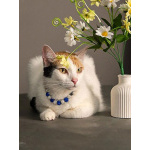 Ласковая и нежная кошечка Снежинка ищет дом