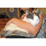 Зюфа ищет дом